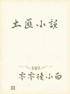 土匪小说