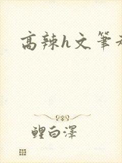 高辣h文笔趣阁