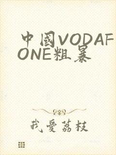 中国VODAFONE粗暴
