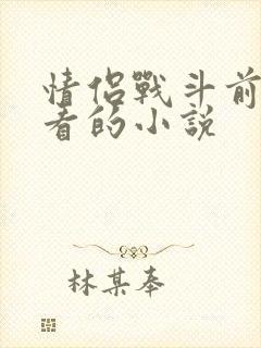情侣战斗前适合看的小说