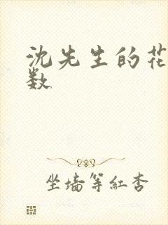 沈先生的花式调数
