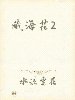藏海花2封面