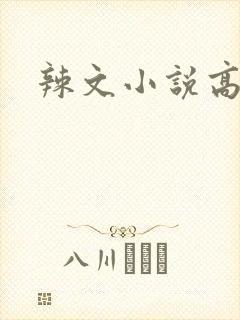 辣文小说高h
