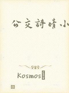 公交诗晴小说