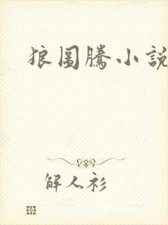 狼图腾小说