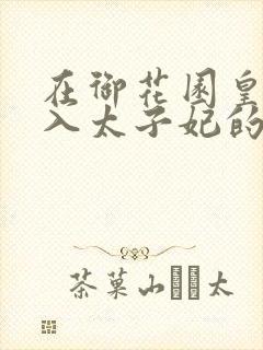 在御花园皇上进入太子妃的小说