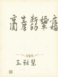 重生新婚夜正在圆房的军婚