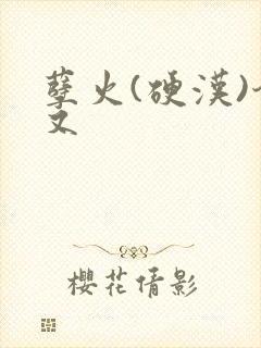 孽火(硬汉)今又