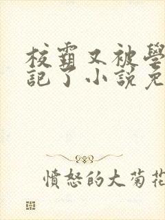 校霸又被学神标记了小说免费阅读