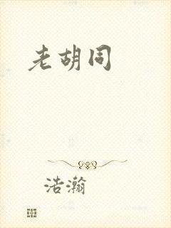 老胡同