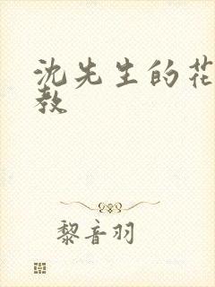 沈先生的花式管教封面