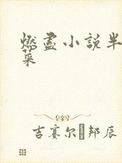 燃尽小说半截白菜封面