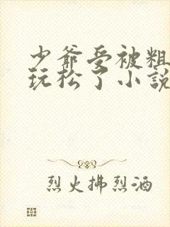 少爷受被粗汉H玩松了小说