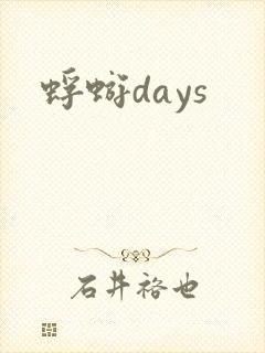 蜉蝣days封面
