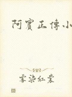 阿宾正传小说