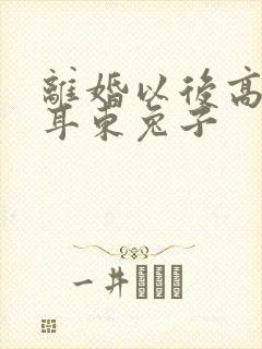 离婚以后高干 耳东兔子