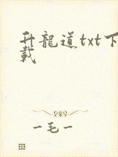 升龙道txt下载