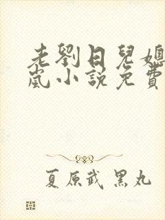 老刘日儿媳妇张岚小说免费阅读封面