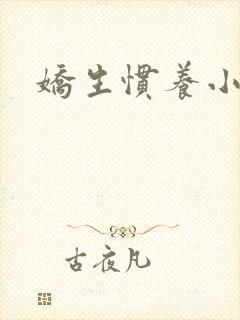 娇生惯养小说