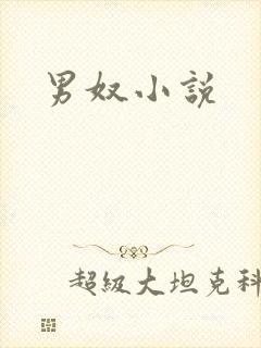 男奴小说