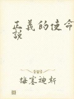 正义的使命 小说