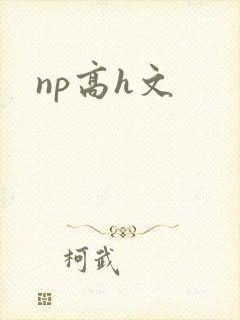 np高h文封面