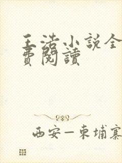 王浩小说全文免费阅读