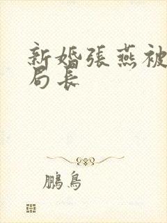 新婚张燕被两个局长