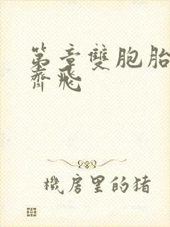第章双胞胎姐妹齐飞