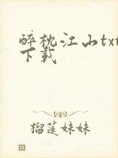 醉枕江山txt下载封面