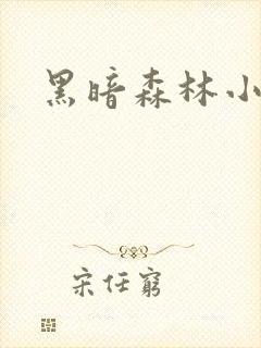 黑暗森林小说