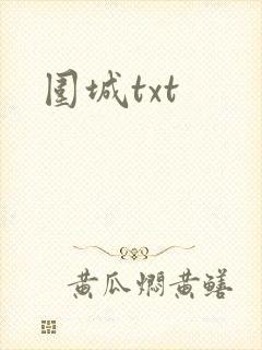 围城txt封面