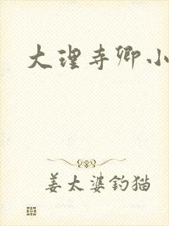 大理寺卿小说