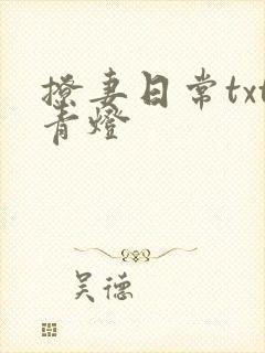 撩妻日常txt青灯封面