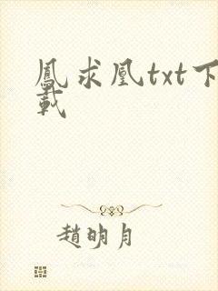 凤求凰txt下载