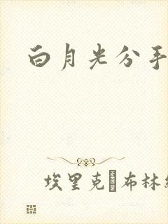 白月光分手日常