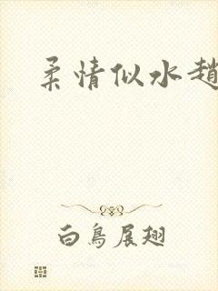 柔情似水赵雅儿封面