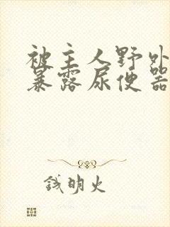 被主人野外调教暴露尿便器封面