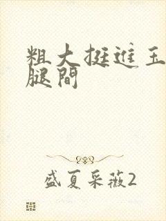 粗大挺进玉芬双腿间