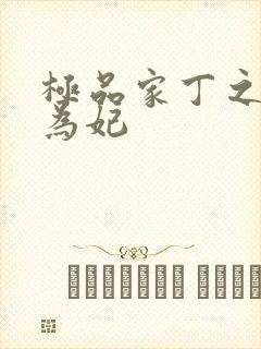 极品家丁之册母为妃