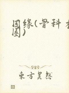 因缘(骨科 校园)