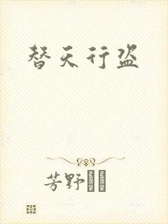 替天行盗封面