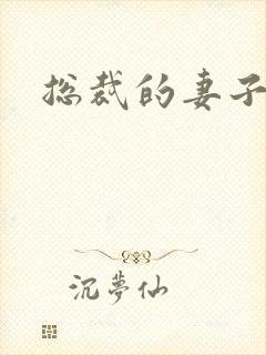 总裁的妻子