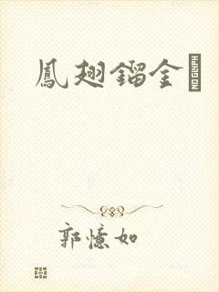 凤翅镏金镋封面