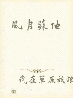 风月苏他