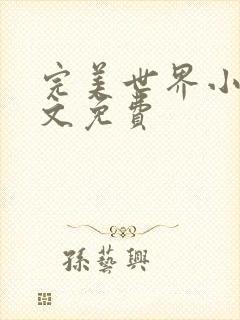完美世界小说全文免费封面