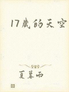 17岁的天空