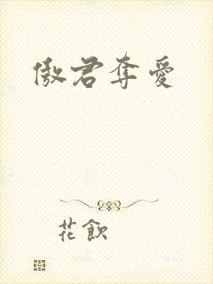 傲君夺爱封面