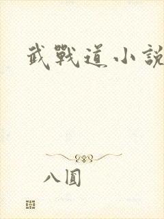 武战道小说