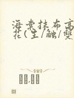 海棠抹布高岭之花(生/触/双)